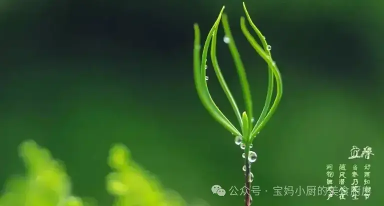 2月3号立春，“立春见3鲜，一年病不沾”，3鲜指啥？记得吃！