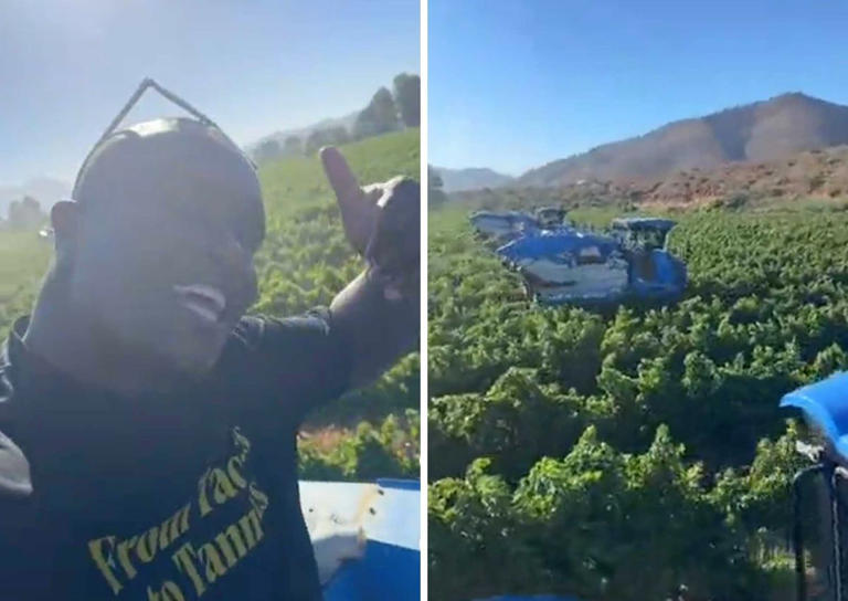 Boks to boers: Springboks who have farm businesses