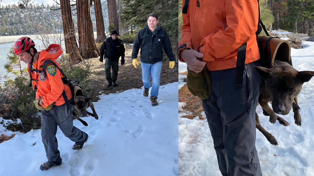 Dog rescued after falling 200 feet down Cascade Falls near Lake Tahoe