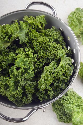 Curly Kale in a Metal Colander Displayed on a Table