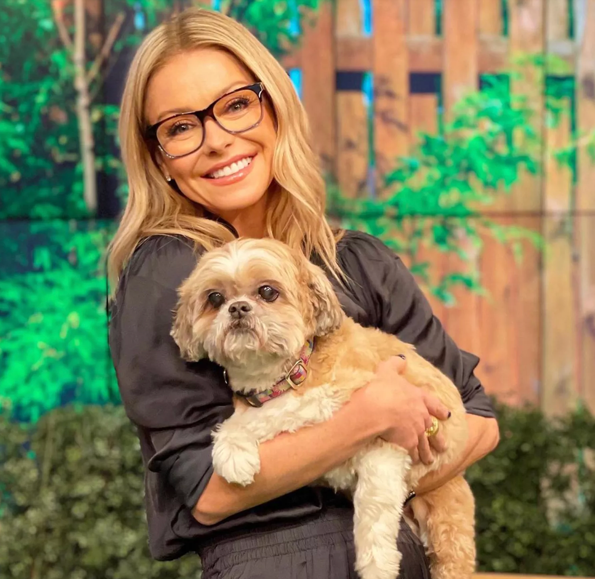 kelly ripa mark consuelos dog chewie tribute