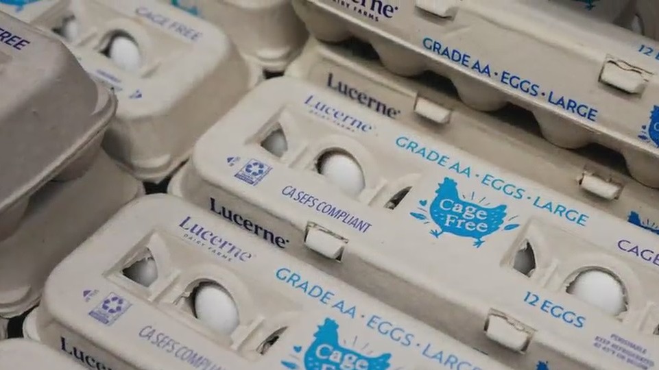 How one NYC grocery store chain is fighting back against egg prices