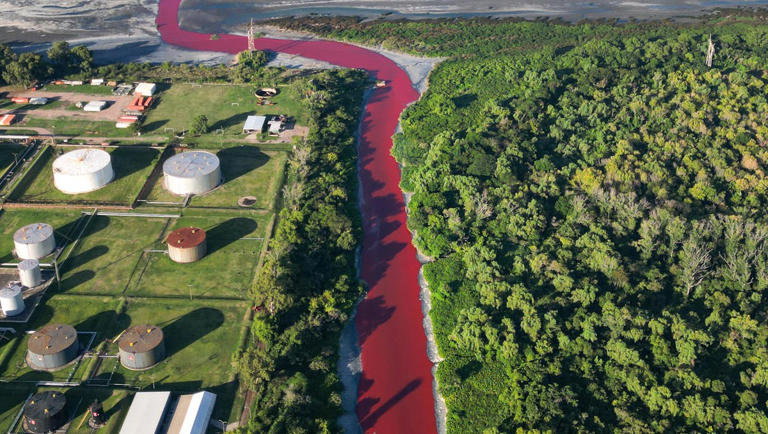 Un río se tiñó de rojo de un día para otro; estás son las apocalípticas  imágenes: "Parece un arroyo de sangre"