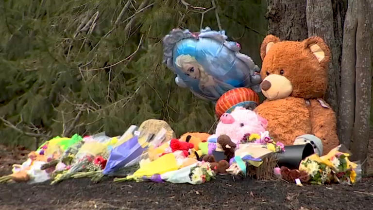 Duxbury mom accused of killing her 3 kids seeks to push trial back again