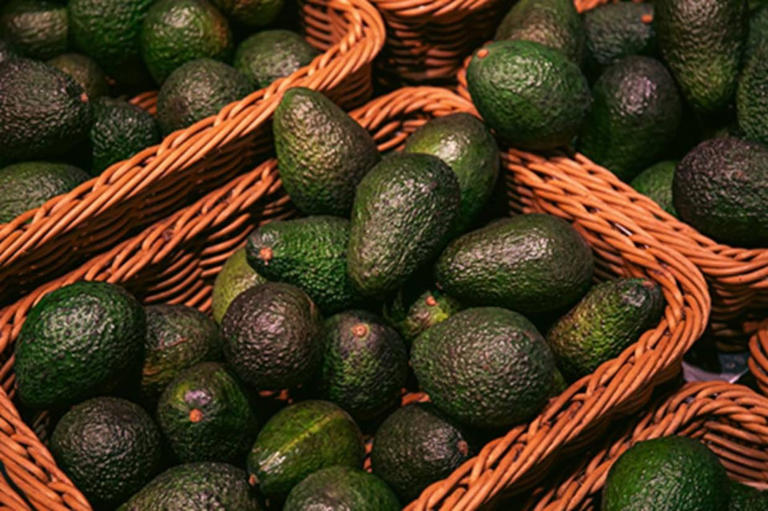 Aguacate.