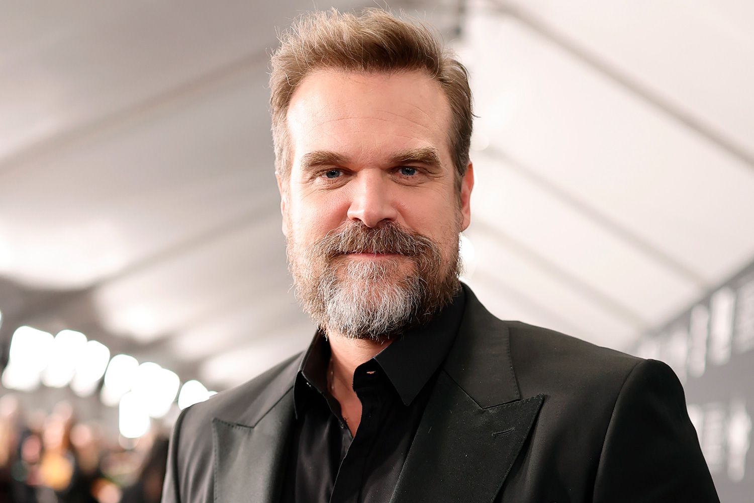 david harbour net worth 2023 - Ilustrasi 3
