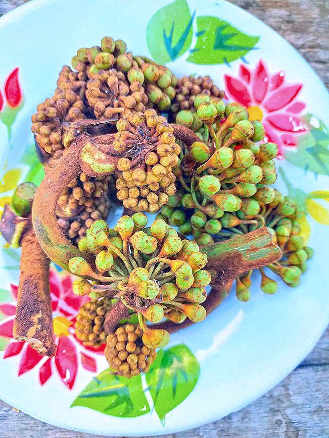 ภาพประกอบข่าว