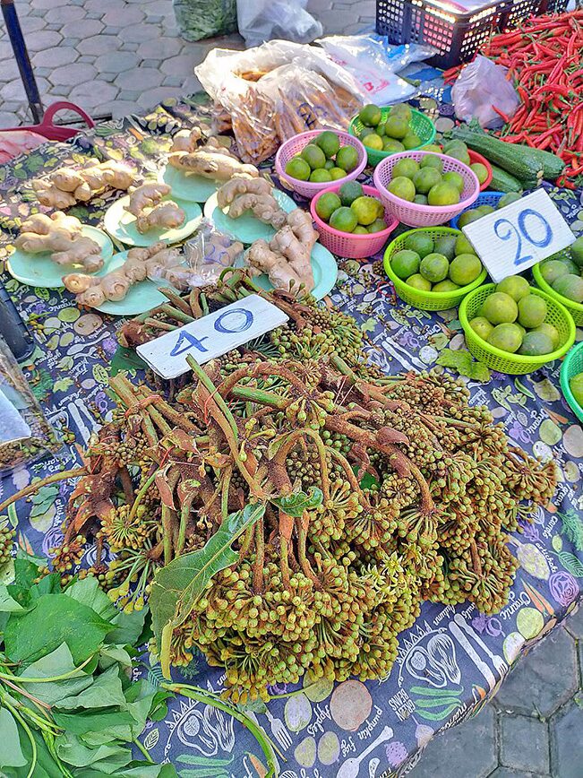 ภาพประกอบข่าว