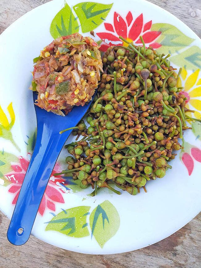 ภาพประกอบข่าว