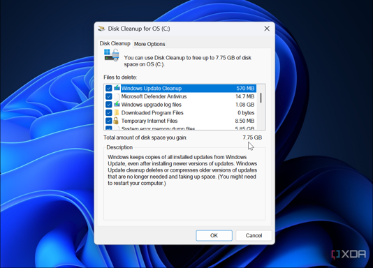 shows using Disk Cleanup to reclaim 8 GB of drive space