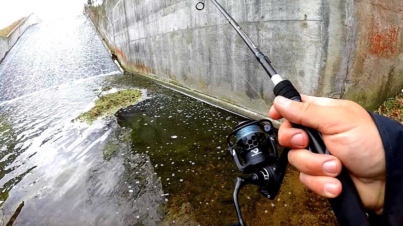 Unexpected catch shocks us while fishing a small creek