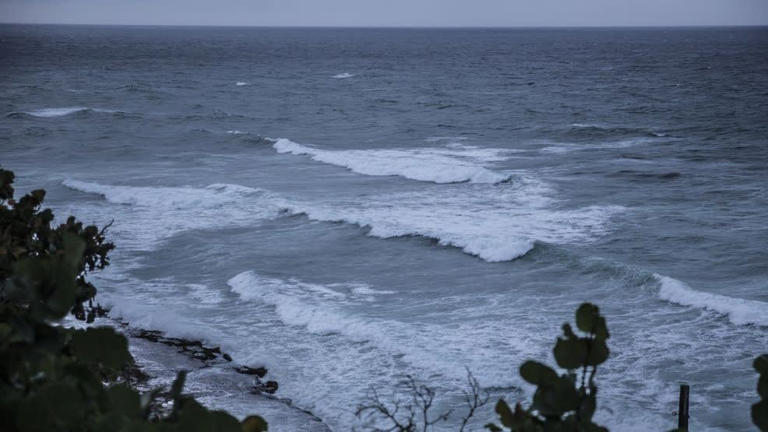 Tsunami puerto rico live