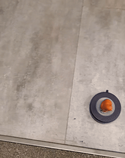 A cat rides a small robotic vacuum