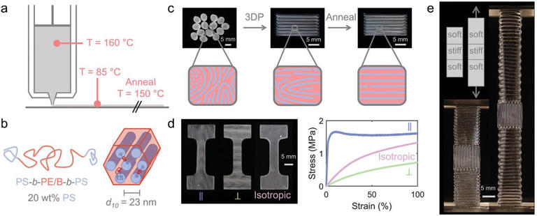 3D printing-induced alignment of TPE triblock copolymers. (CREDIT: Advanced Functional Materials)