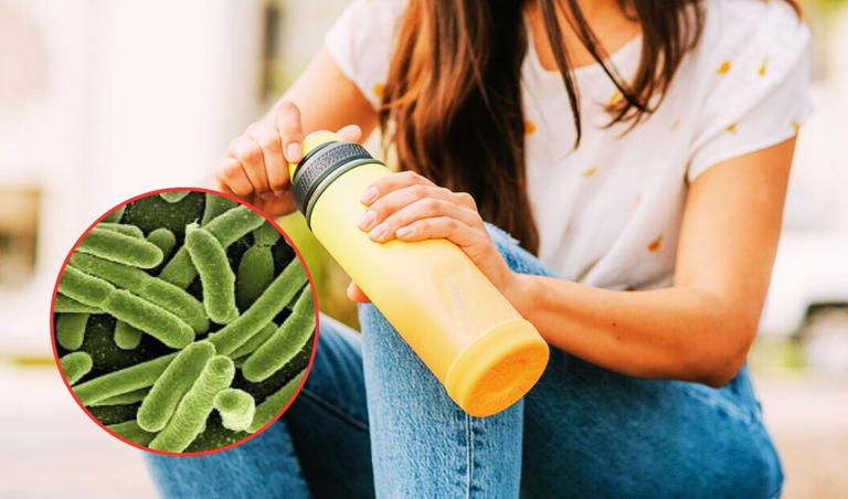Tu tomatodo podría tener 40 mil veces más bacterias que un inodoro: ¿Sabes  cómo limpiarlo?