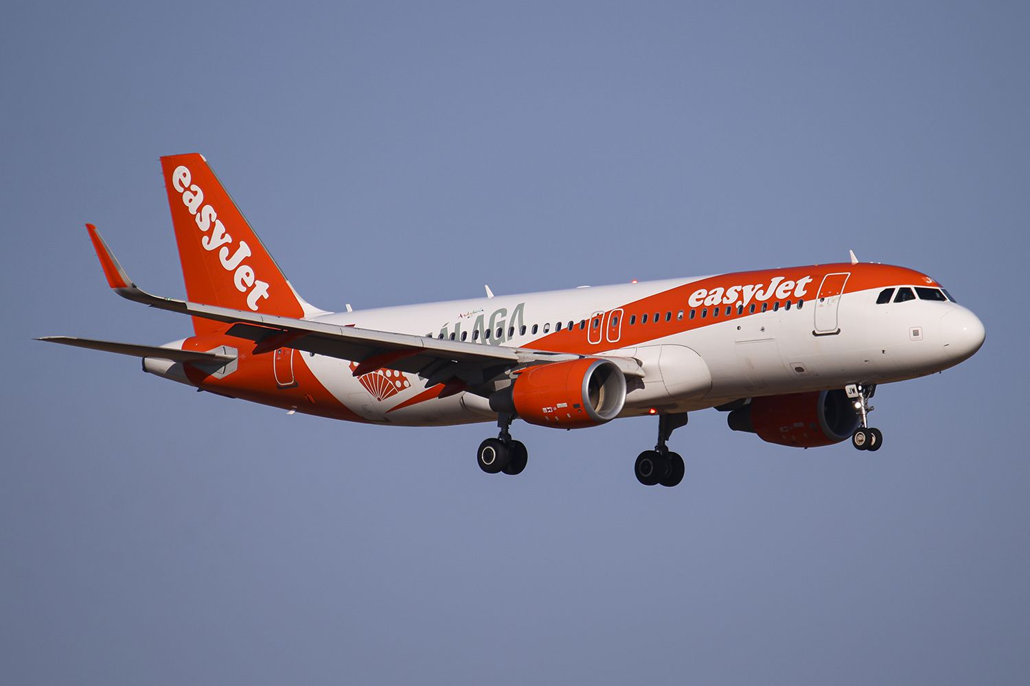 Passenger Jet Forced to Make Diverted Landing After Pilot Reportedly