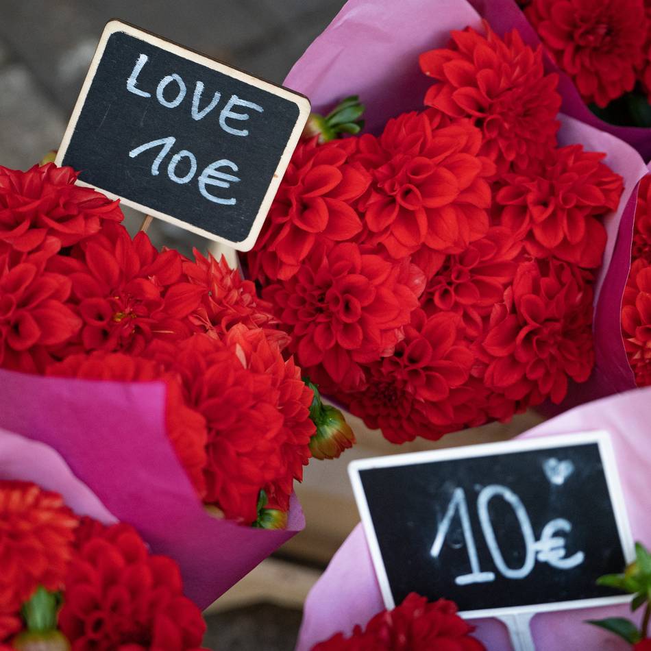 Romantik-Fan liebt Romantik-Muffel