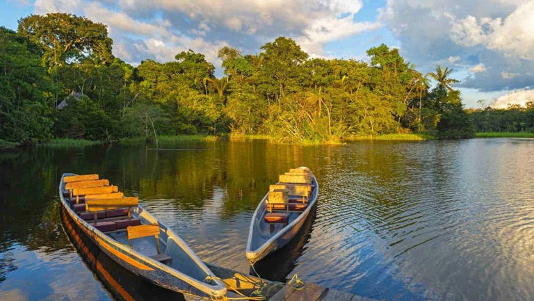 Hutan Amazon
