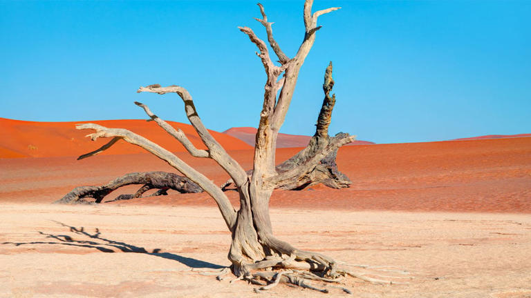 Lembah Namib 