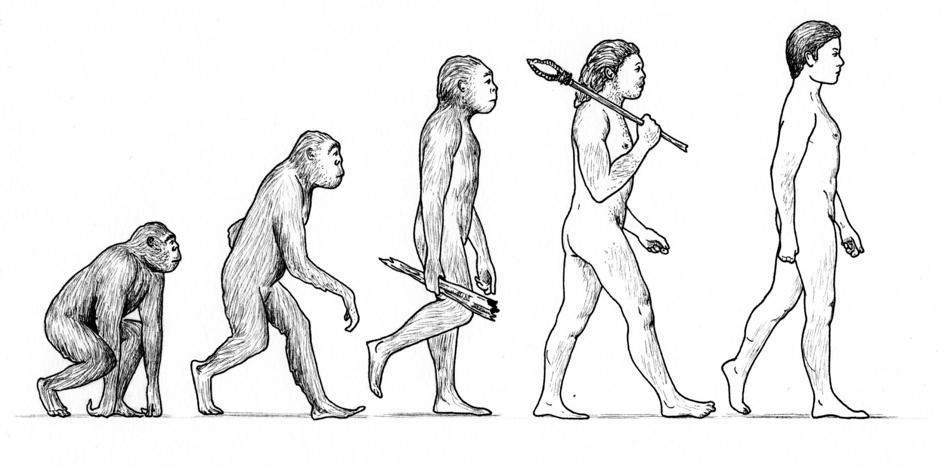 When did humans become human?