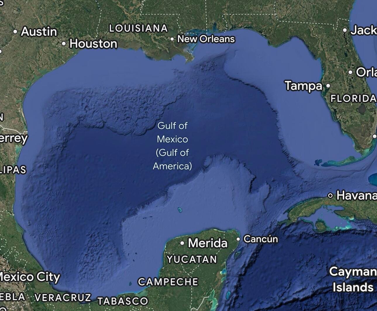 Apple Microsoft Joining Google - AA1yPNCX.img