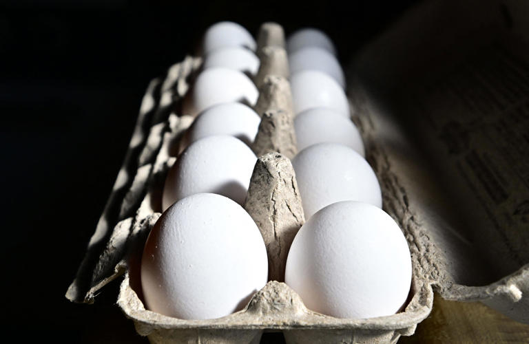 Hickman's Family Farms sells operations to global producer. What to know