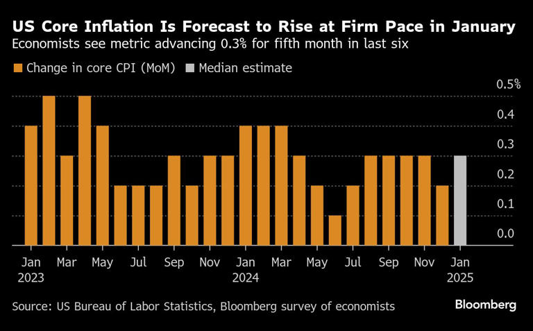 US Core Inflation Seen Rising at Firm Pace in January