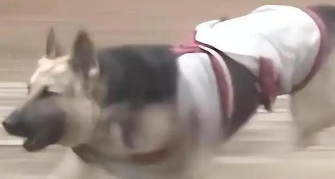 ӰӾ̵Ĵﾵͷѣ