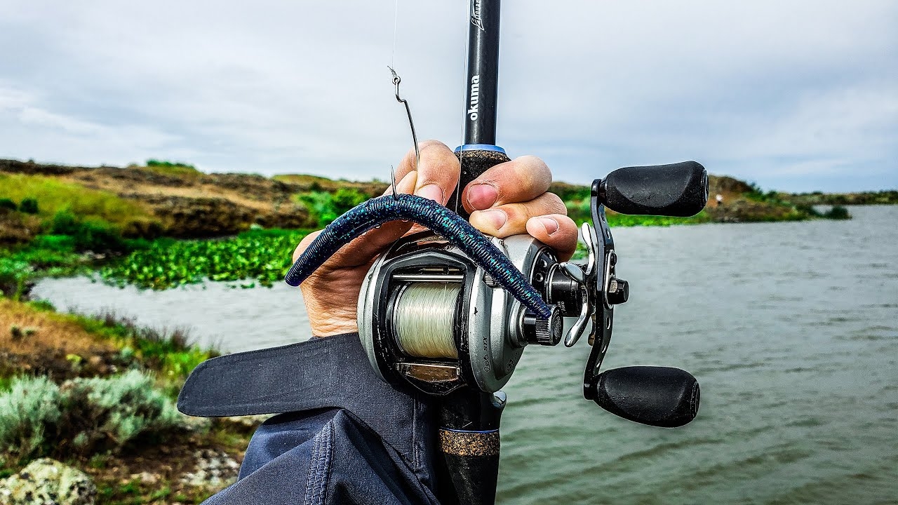 Proven Bass Fishing Rigs Every Angler Should Know
