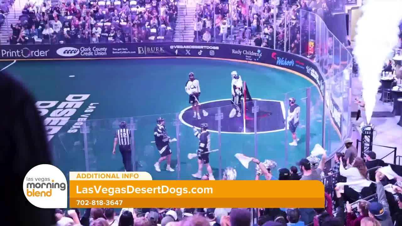 Rock the Box with the Las Vegas Desert Dogs A HighEnergy Lacrosse