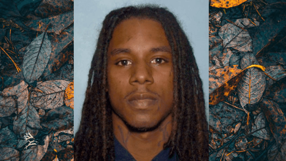 Human remains found by hiker in remote western North Carolina identified