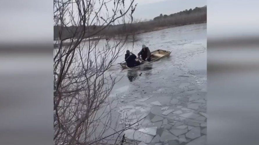 See it Rescuers save young deer from icy river in NY(00)