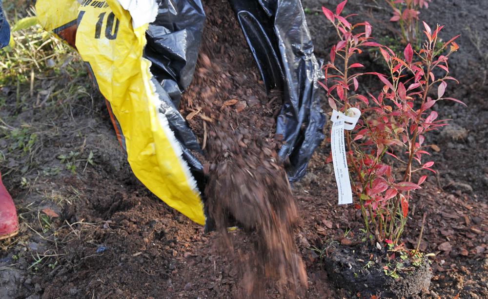 10 Tipps zur Verwendung von Blumenerde und Pflanzsubstraten