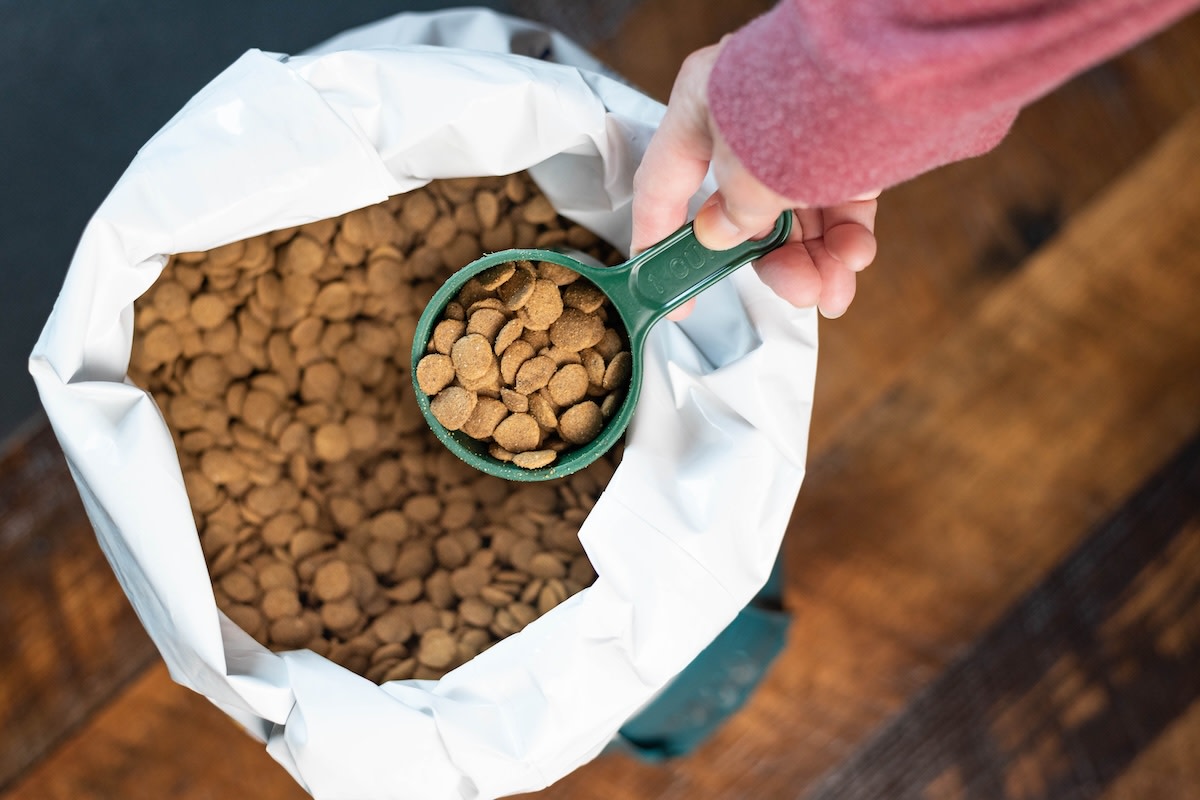 New Report About What's Really Hiding in Popular Dog Foods Is Downright