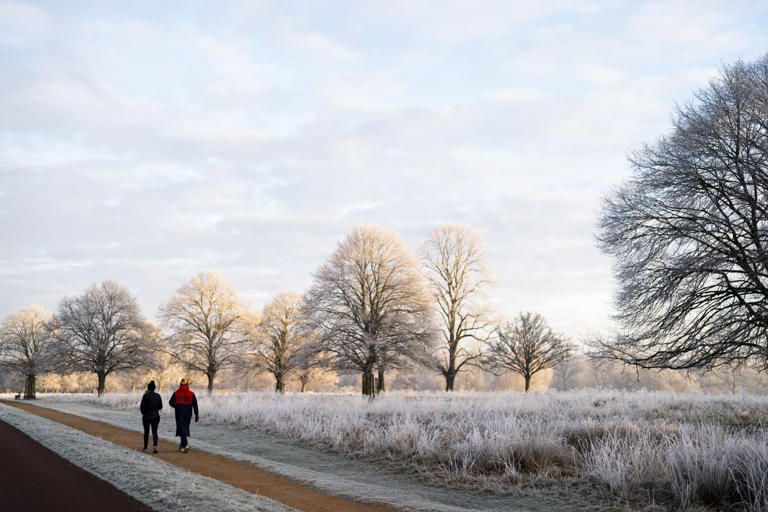 Texas Weather Forecast: Massive Cold Front Set to Drop Temperatures Drastically!