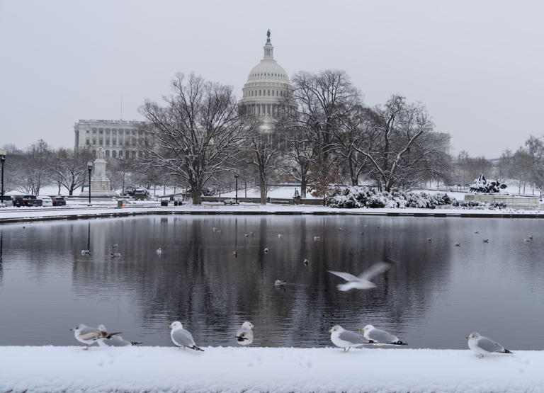 Image Dayo Odeyingbo image beautiful image beautiful image beautiful image beautiful image beautiful image beautiful image beautiful image beautiful - A sticky snow pasted D.C. landmarks, making them even more beautiful