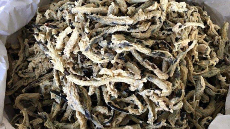 MAKANAN KHAS KLATEN : Ilustrasi Keripik Belut Klaten (TribunJogja)