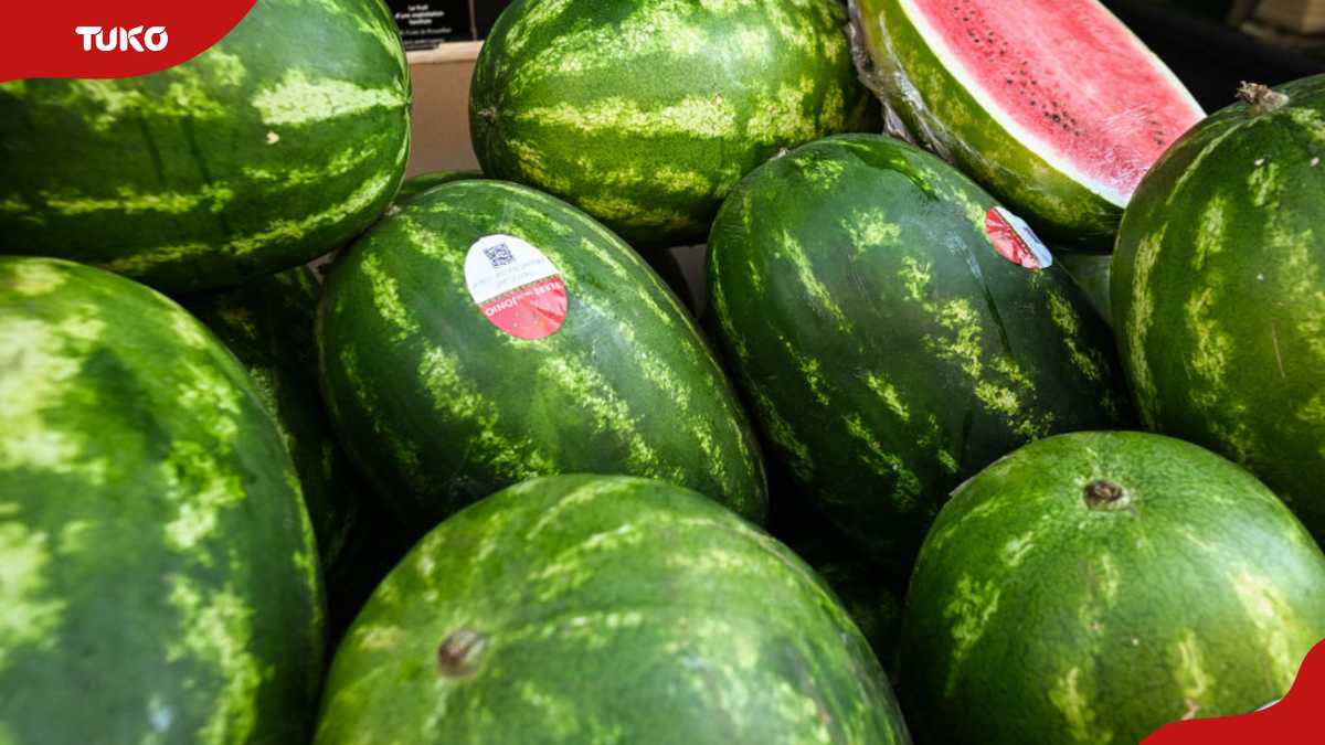 How to Grow Watermelons in Your Garden: A Comprehensive Guide (International Edition) How to Grow Watermelons in Your Garden: A Comprehensive Guide (International Edition)