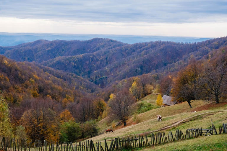 A rural landscape close to Buila-Vânturariţa Park by Monica Marcov/ Dreamstime