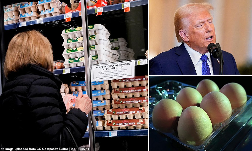 The real reason behind skyrocketing egg prices