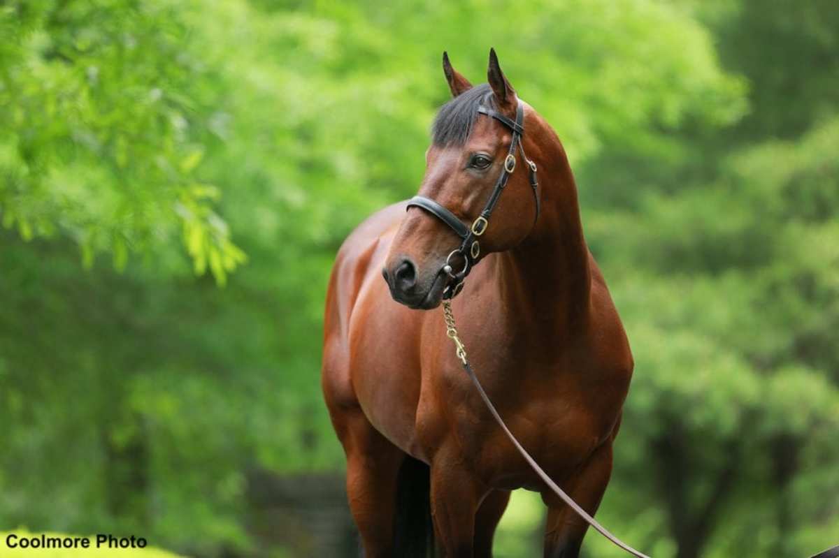 Rothfus: Could American Pharoah Be The Next Sunday Silence?