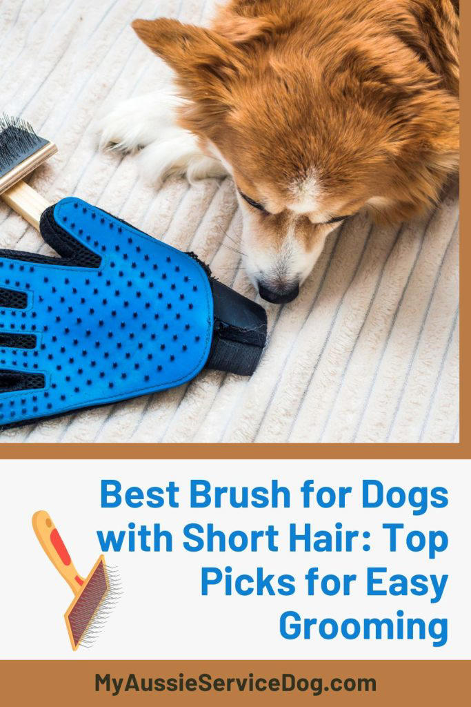 Top 5 Brushes for Short-Haired Dogs: Reviews & Buying Guide