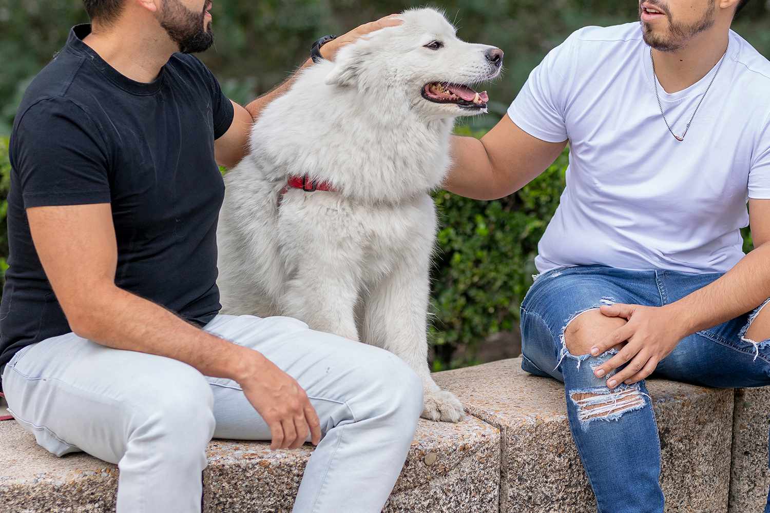 Man Says His Neighbor Accused Him of ‘Vandalizing’ Her Dog’s Coat — but