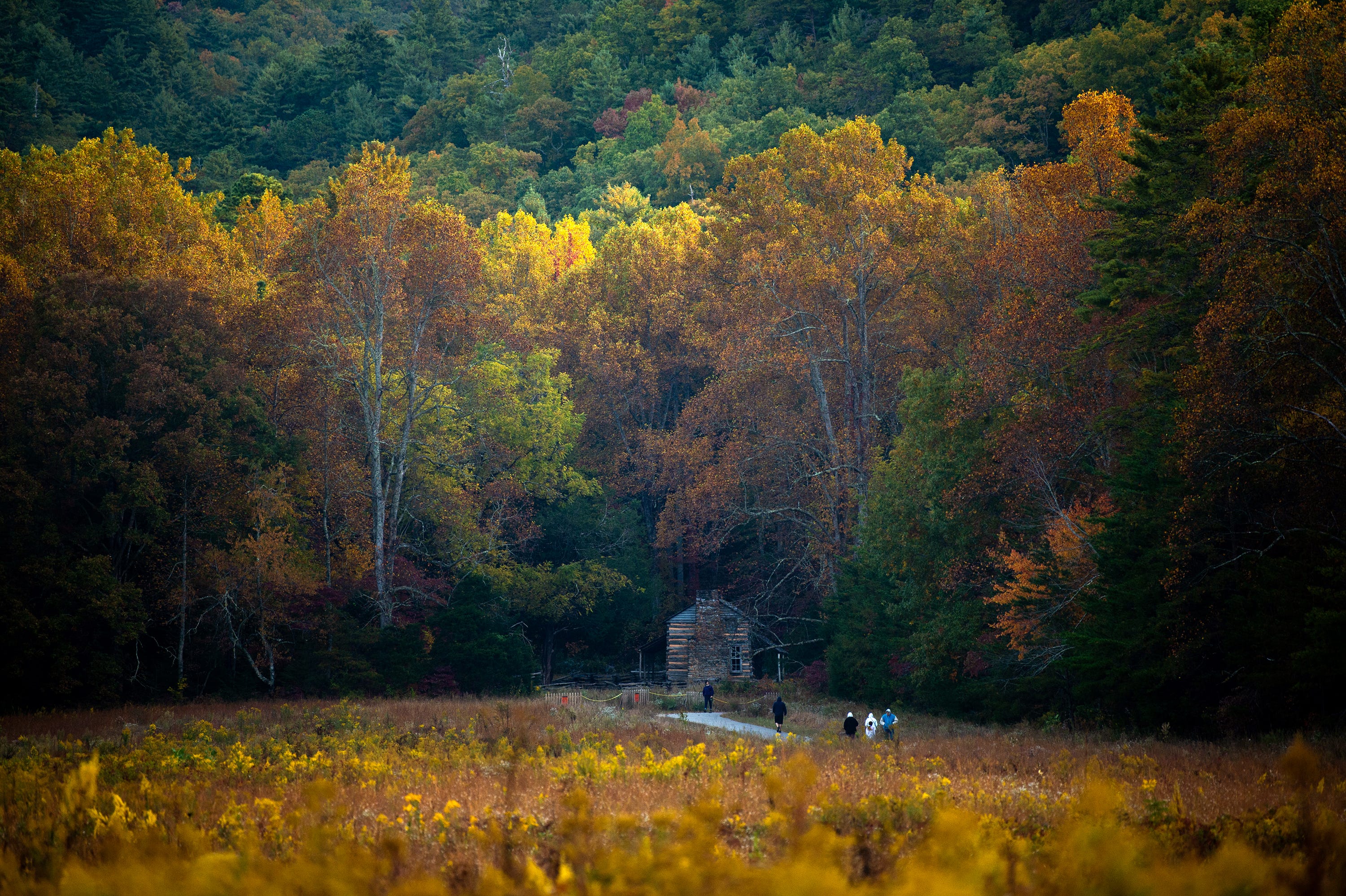 Where are the fall leaves most colorful in Tennessee right now? Time to ...