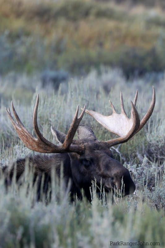 THINGS TO DO IN GRAND TETON NATIONAL PARK WYOMING