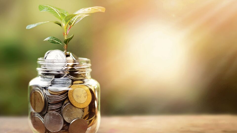 dividend-stocks-nestle-india-ongc-gail-india-among-others-to-trade