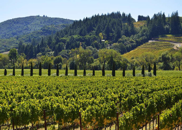 Think you know California? These 59 facts might prove you wrong