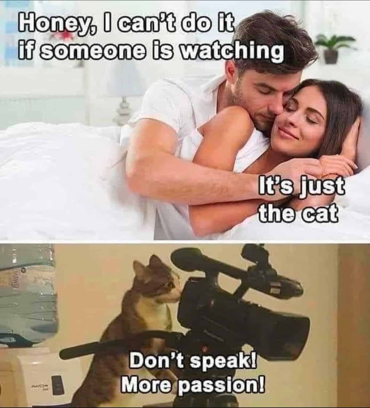 [Image: AA1yiJ0y.img?w=768&h=847&m=6&amp...&d=139]