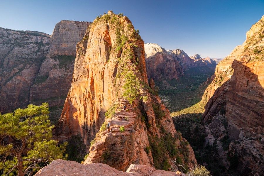 Angels Landing trail at Zion National Park reopens after search and ...