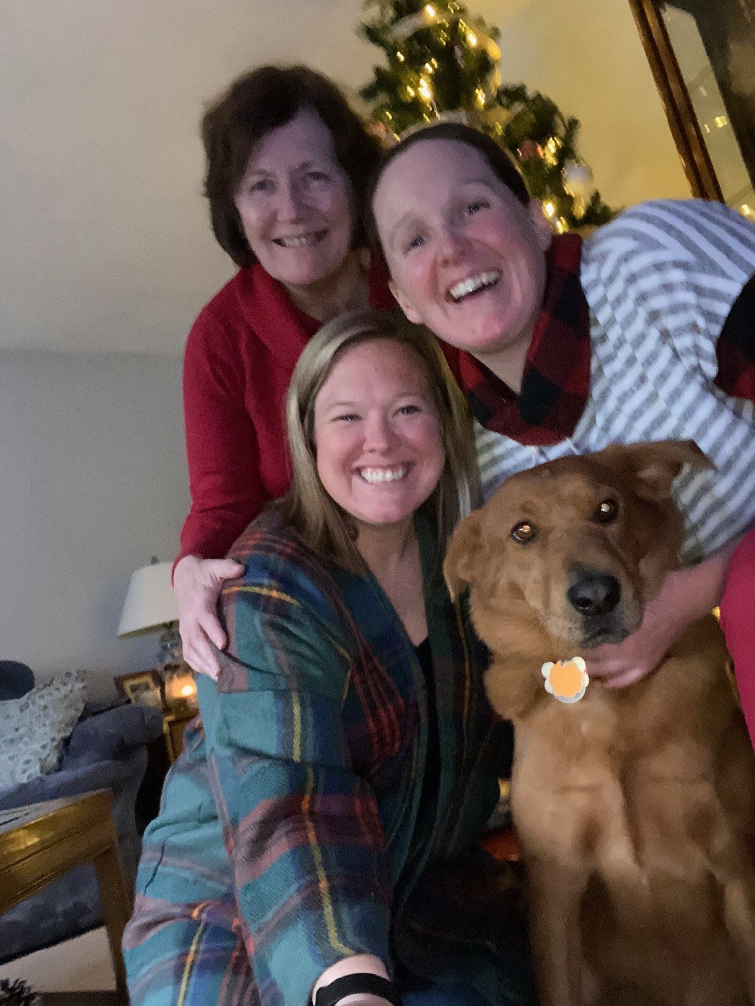 Marshfield math teacher was only 38 when she died. How her love for ...